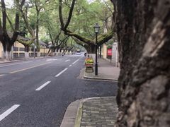 -颐和路民国时期公馆风貌区
