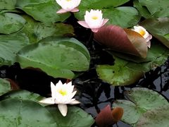 -龚家花园农家乐休闲别墅