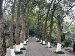 -忠山公园