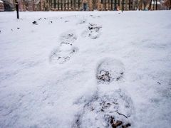 -普林斯顿大学