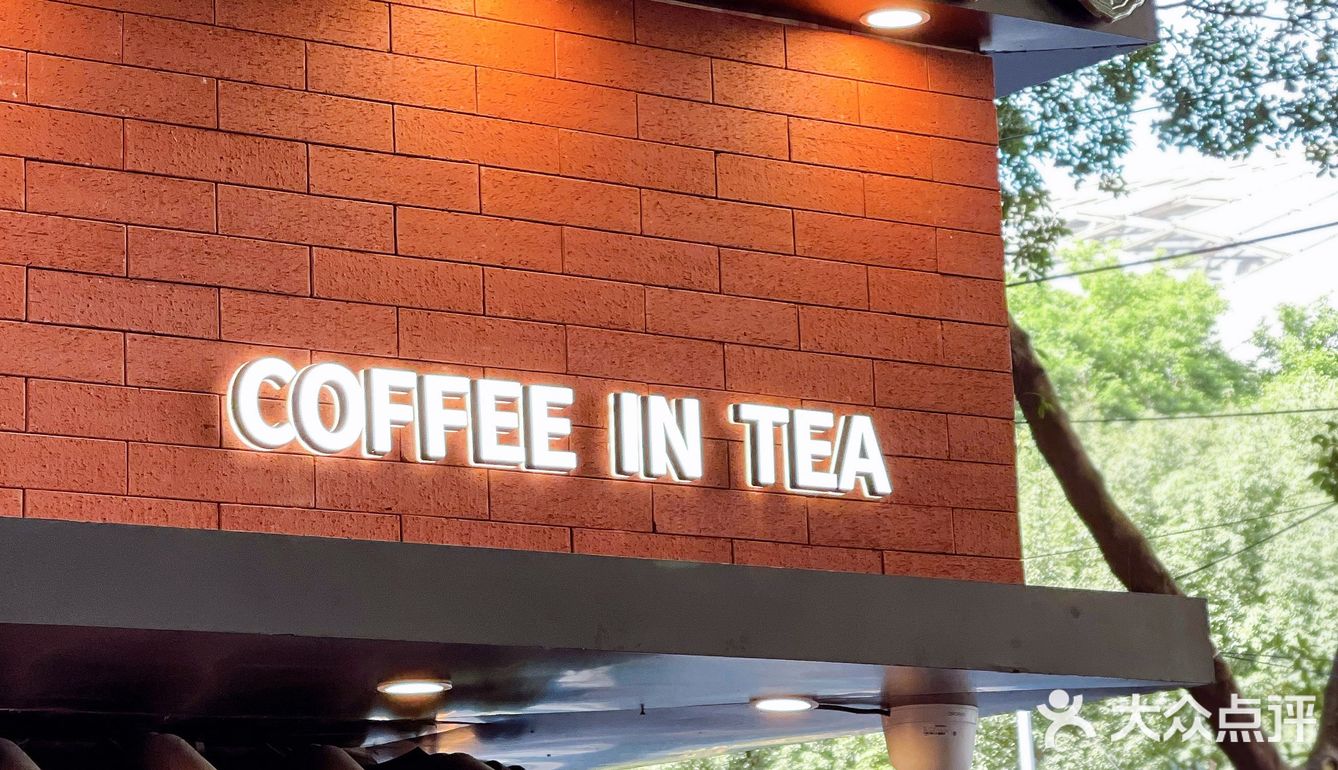 广州探店｜在榕树下，喝一杯「茶理宜世」咖啡