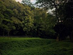 -火炉山森林公园