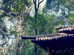 -兰亭风景区