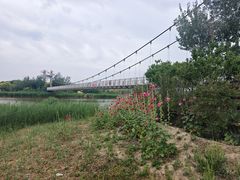 -西青郊野公园