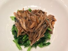 -福1015(愚园路店)