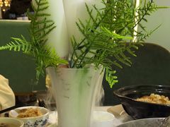 -探窝·竹笙椰子鸡(杨箕店)