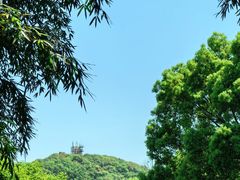 -上海佘山国家森林公园西佘山园