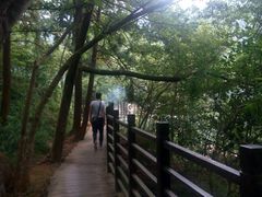 -广州市石门国家森林公园