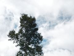 -灵山