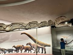 -自贡恐龙博物馆