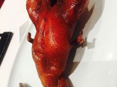 -东富酒家(龙湖西溪天街店)