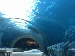-海棠湾洲际-涛·海底餐厅·美人鱼·自助餐·海底隧道
