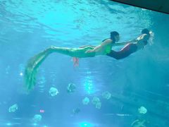 -福州罗源湾海洋世界旅游区