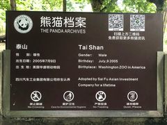 -都江堰中华大熊猫苑