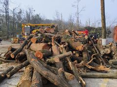 -岳麓山风景名胜区