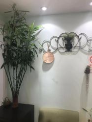 -苗方清颜·祛痘皮肤管理