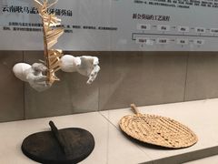-中国扇博物馆