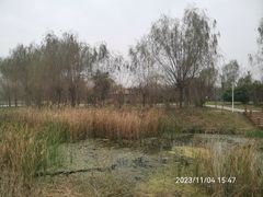 -淇河国家湿地公园