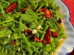 炒丝瓜尖-老丽江餐馆(丽江华都商贸城店)