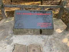 -上海佘山国家森林公园天马山园