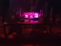 -赛博LIVE SHOW酒吧
