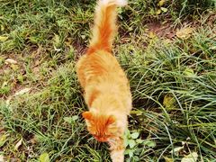 -北京动物园-畅观楼