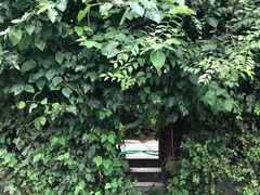 -斯多格书乡(北京大学畅春园店)