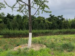 -永定河休闲森林公园