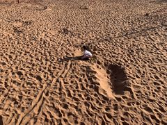 -武清南湖绿博园