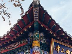 -桃花堤公园