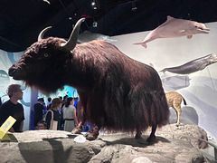-中国湿地博物馆