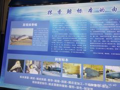 -上海海洋大学鱼文化博物馆(军工路校区)