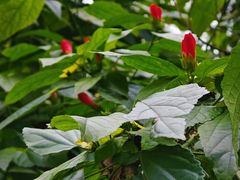 -重庆彩云湖湿地公园