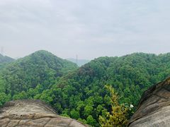-南山植物园