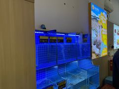 -陆记鹅庄·潮汕菜·狮头鹅(大仟里店)