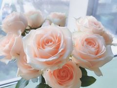 -豆豆花艺(新光天地店)