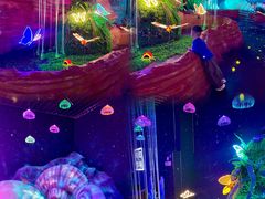 -福州罗源湾海洋世界旅游区