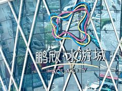 -鹏欣水游城