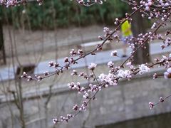 景点-元大都城垣遗址公园