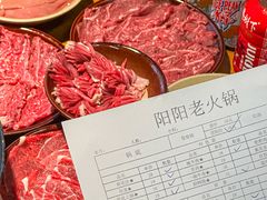 -阳阳老火锅(小南门店)