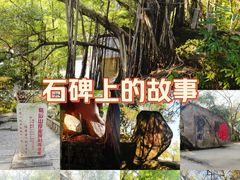 -乌山风景区