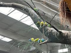 -南宫五洲植物乐园