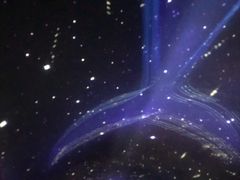 -大连圣亚海洋世界