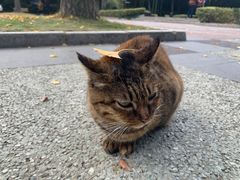 -苏州河梦清园环保主题公园