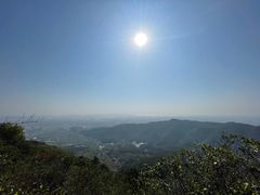 -广州莲花山旅游区