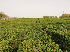 -南京市江宁方山