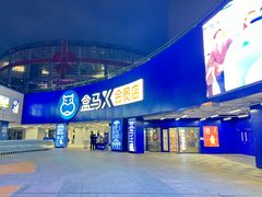 -盒马X会员店(王府井奥莱UP TOWN店)