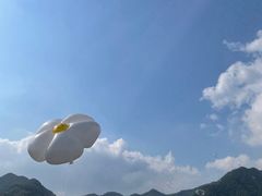 -龙坞茶村