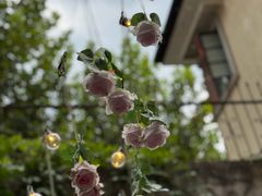 -Osteria Garden 生蚝花园餐厅(原进贤路店)