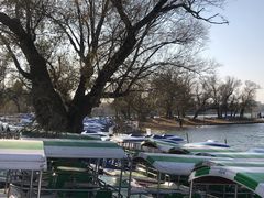 -长春市南湖公园